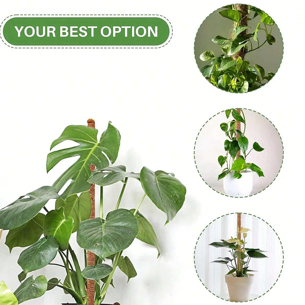 Monstera Plant Moss Pole Suppo - Plant Support Stake ulasan dan harga