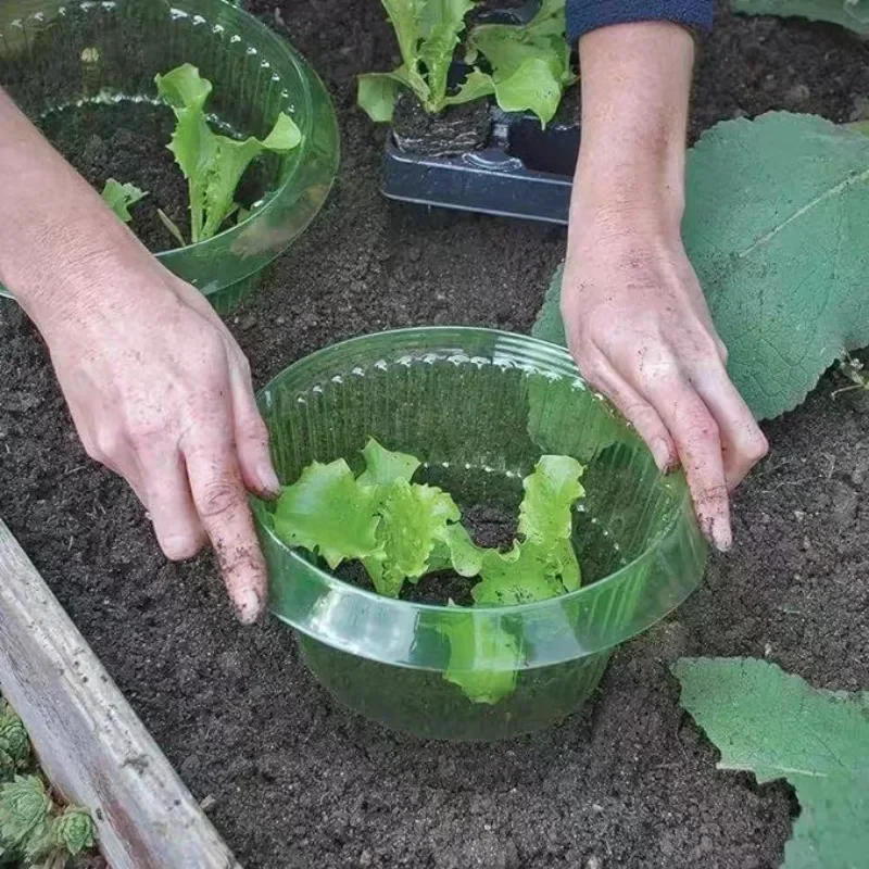 Plants Slug Protection Rings V - Terracotta Pot ulasan dan harga