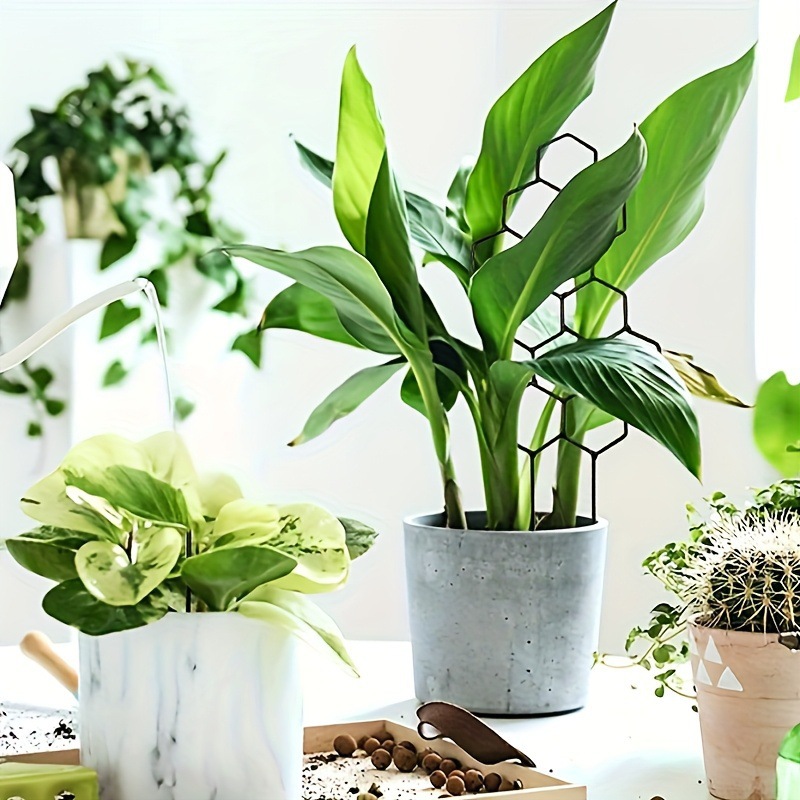 1PC Honeycomb Design Plant Tre - Terracotta Pot ulasan dan harga