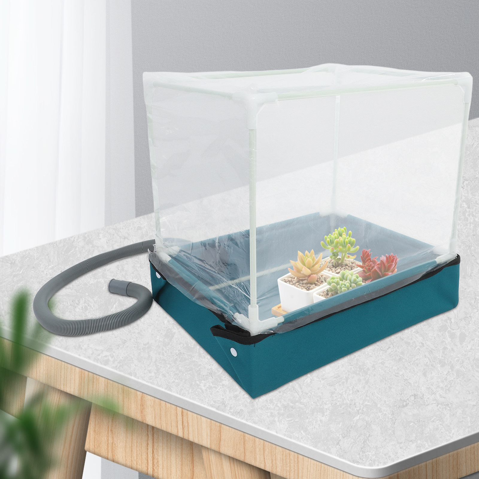 Mini Succulent Greenhouse Indo - Indoor Plants ulasan dan harga